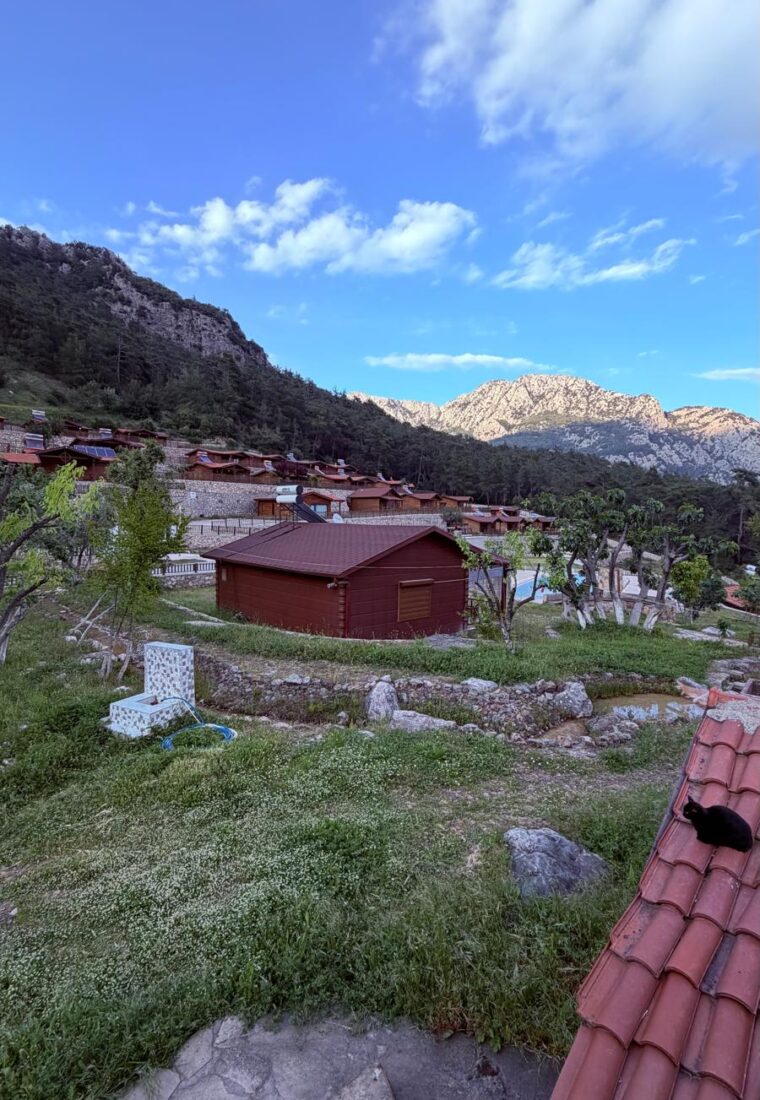 Doğayla iç içe, ahşabın sıcaklığında