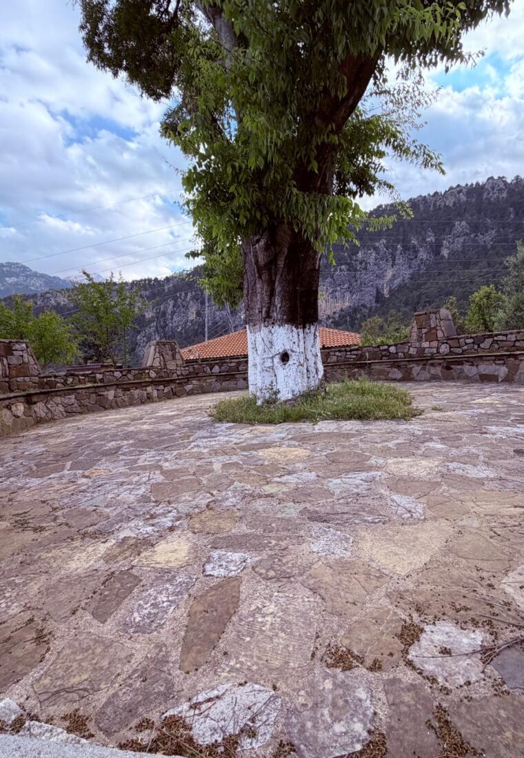 Kemer Doğa Evleri
