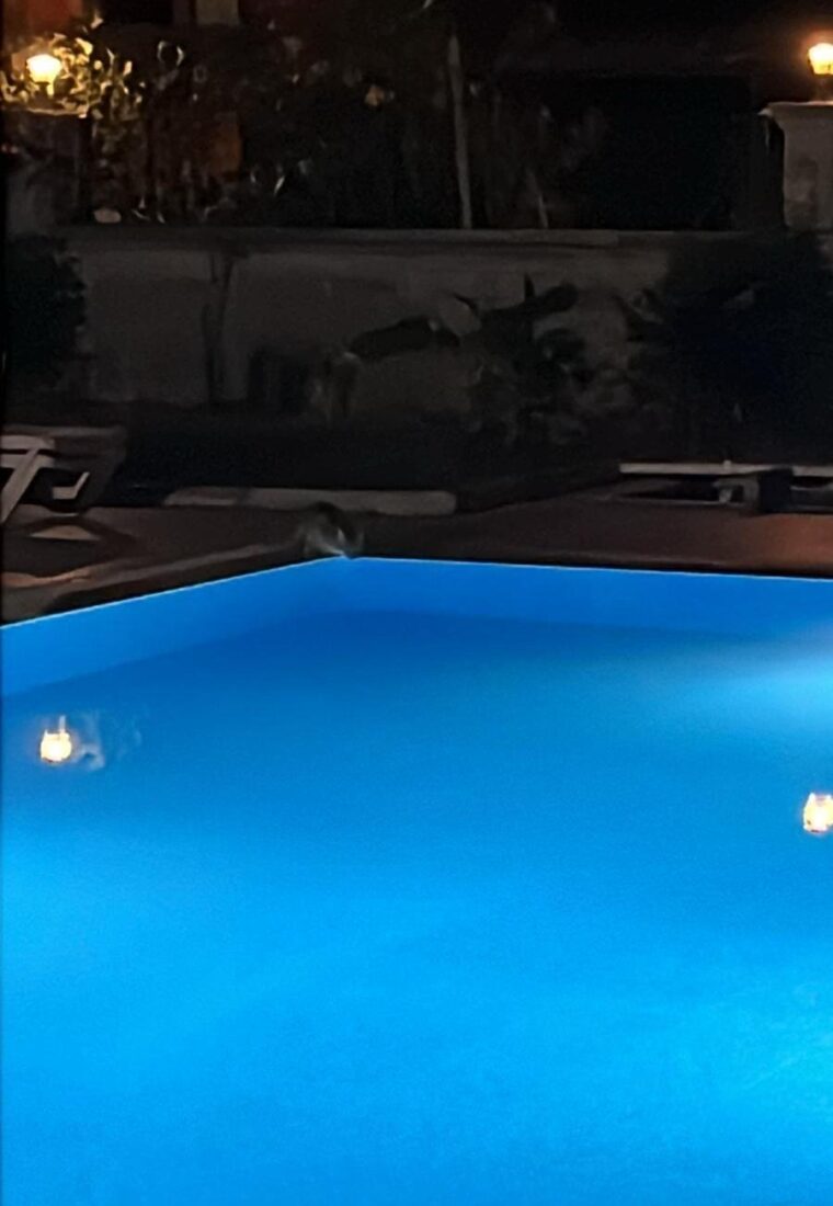 Yıldızların altında dinginlik